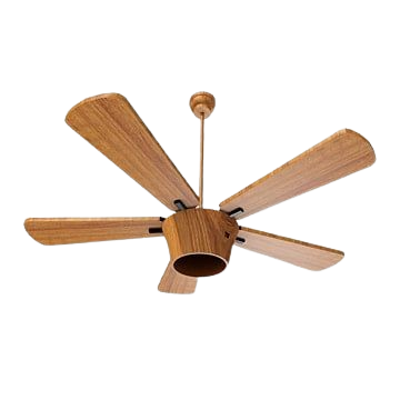 Stylish ceiling fan